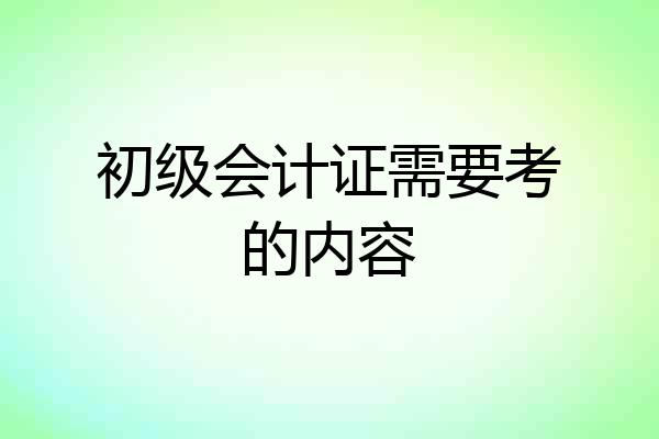 初级会计证需要考的内容