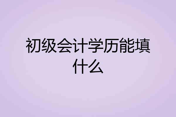 初级会计学历能填什么