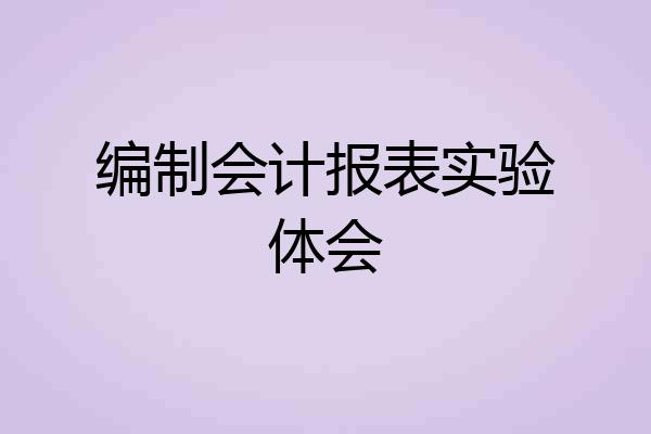 编制会计报表实验体会