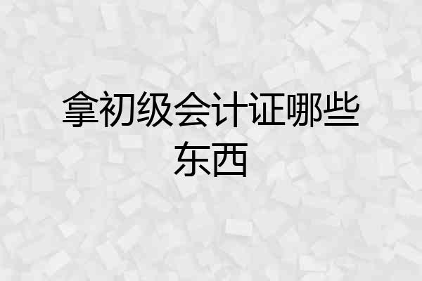拿初级会计证哪些东西