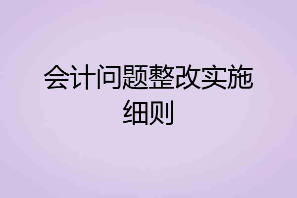 会计问题整改实施细则
