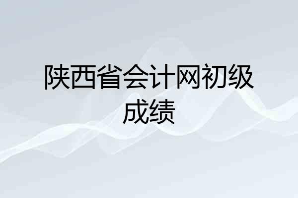 陕西省会计网初级成绩