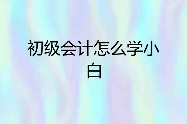初级会计怎么学小白