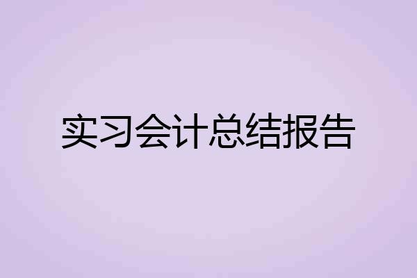 实习会计总结报告
