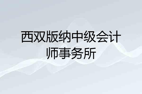 西双版纳中级会计师事务所