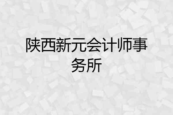陕西新元会计师事务所