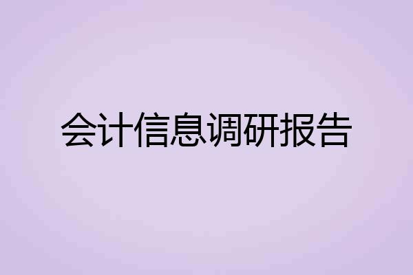 会计信息调研报告