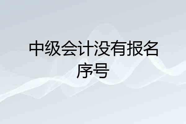 中级会计没有报名序号