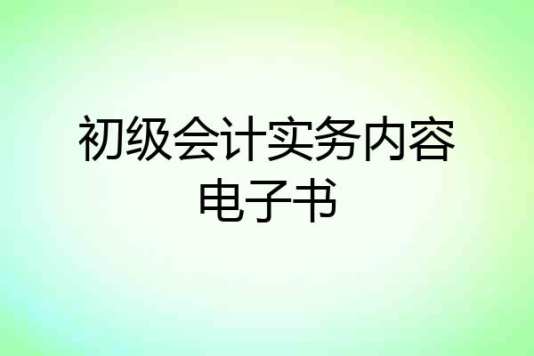 初级会计实务内容电子书