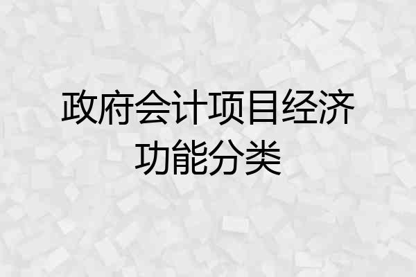 政府会计项目经济功能分类