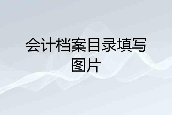 会计档案目录填写图片