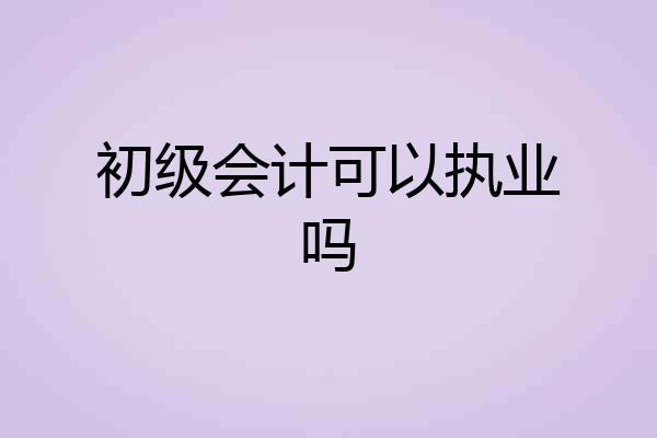 初级会计可以执业吗