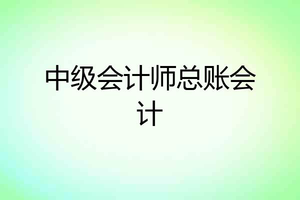 中级会计师总账会计