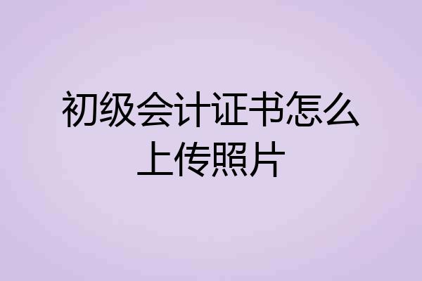 初级会计证书怎么上传照片