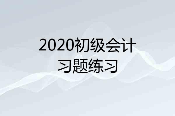 2020初级会计习题练习