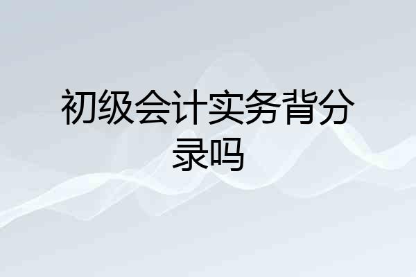 初级会计实务背分录吗