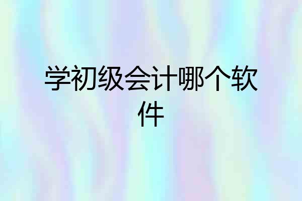 学初级会计哪个软件