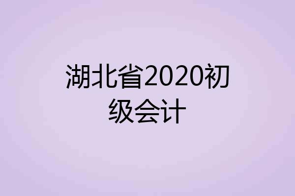 湖北省2020初级会计