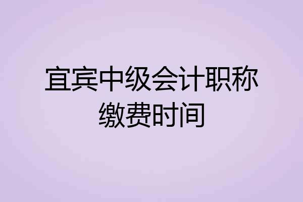 宜宾中级会计职称缴费时间