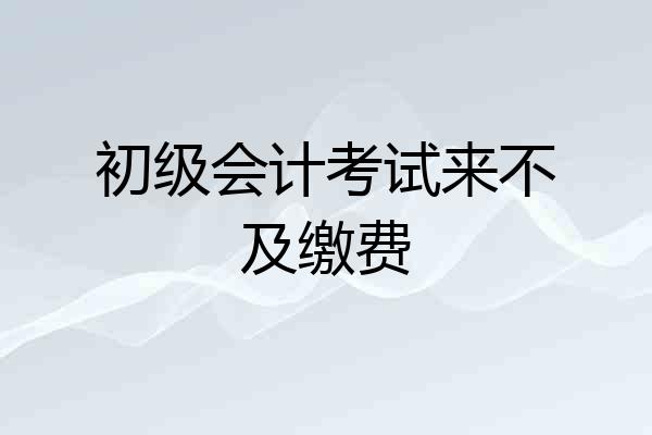 初级会计考试来不及缴费
