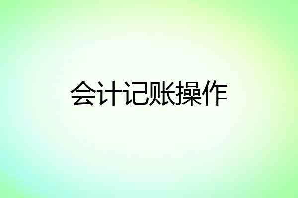 会计记账操作