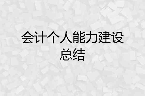 会计个人能力建设总结