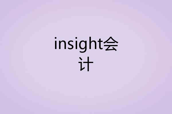 insight会计
