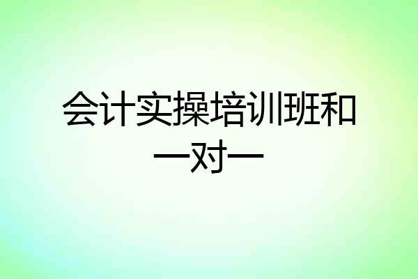 会计实操培训班和一对一