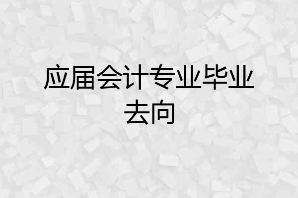 应届会计专业毕业去向