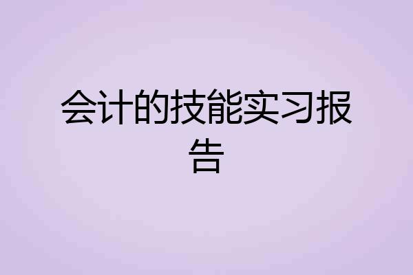 会计的技能实习报告