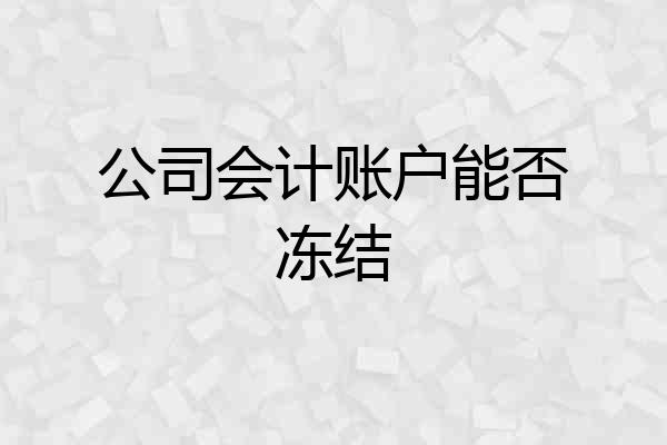公司会计账户能否冻结