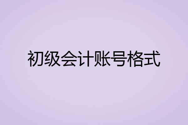 初级会计账号格式
