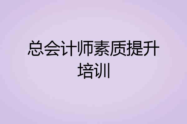 总会计师素质提升培训