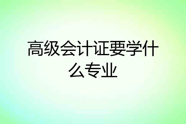 高级会计证要学什么专业