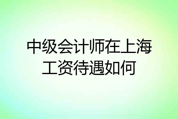 中级会计师在上海工资待遇如何