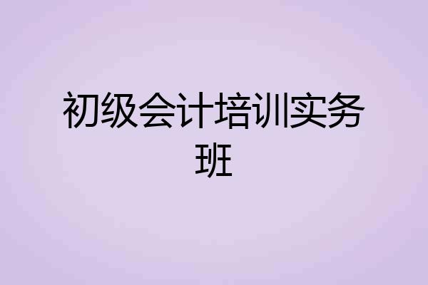 初级会计培训实务班