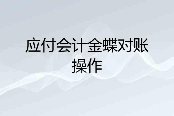 应付会计金蝶对账操作