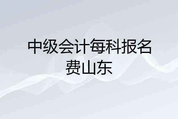 中级会计每科报名费山东