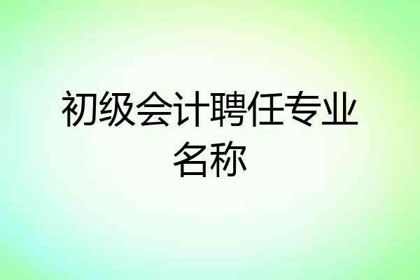 初级会计聘任专业名称