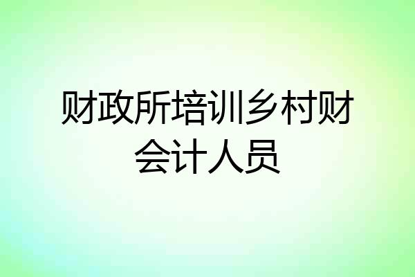 财政所培训乡村财会计人员