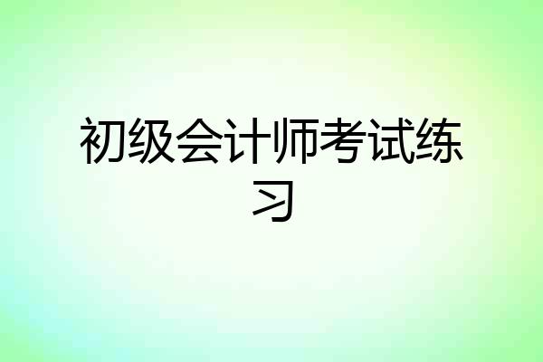 初级会计师考试练习