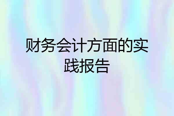 财务会计方面的实践报告
