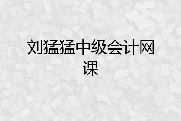 刘猛猛中级会计网课