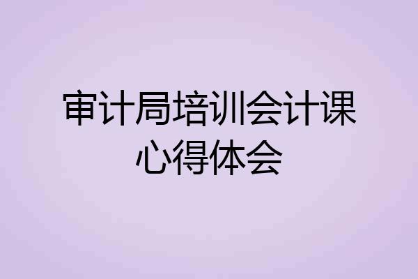 审计局培训会计课心得体会