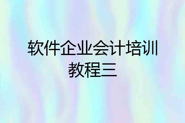 软件企业会计培训教程三