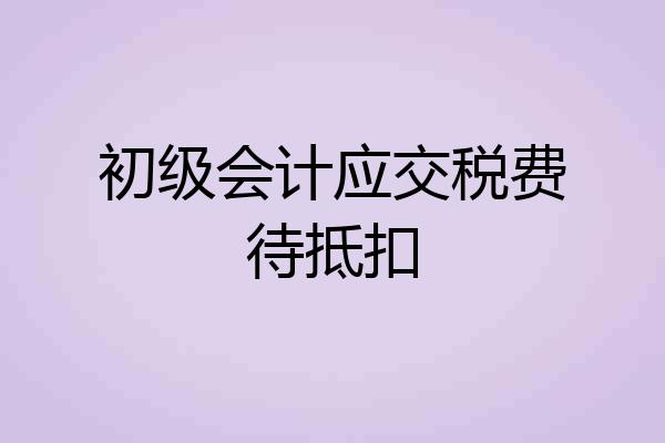 初级会计应交税费待抵扣