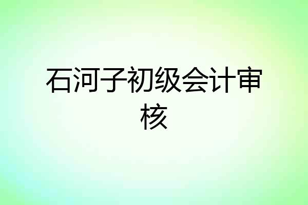石河子初级会计审核