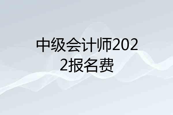 中级会计师2022报名费
