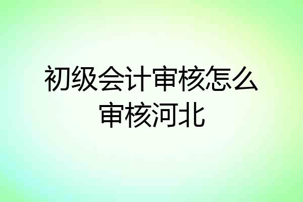 初级会计审核怎么审核河北