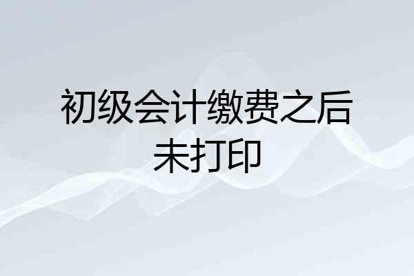 初级会计缴费之后未打印